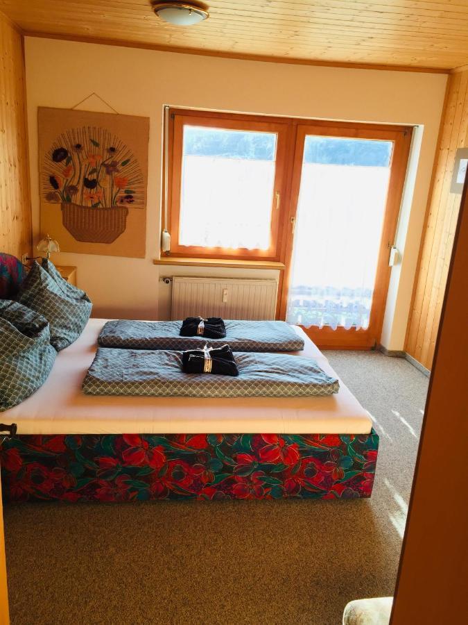Apartment Ebnit Дорнбирн Экстерьер фото